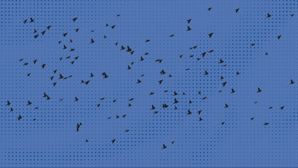 Thinking About Migrating to Qmlativ? Hear From 7 Districts That Did 
