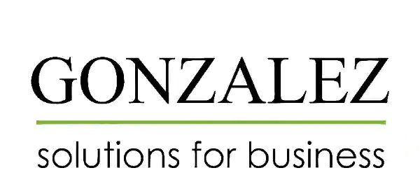Gonzalez Solutions for Business