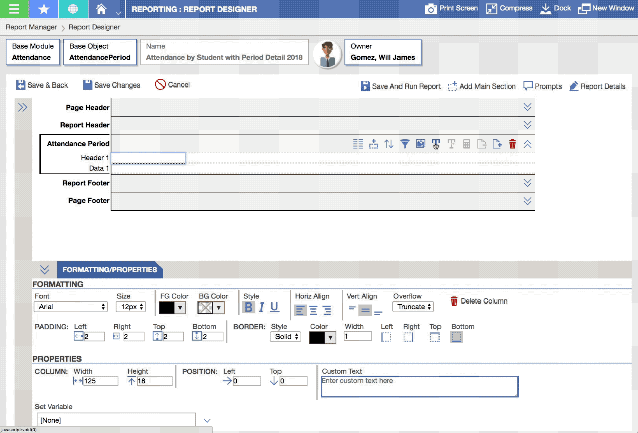 Report Writer screen shot